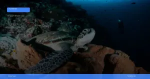 menjelajahi Derawan: surga snorkeling dan diving di Kalimantan | Turtlebin