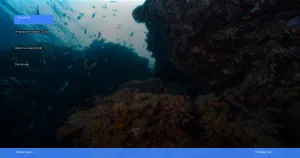 wisata alam Wakatobi | Turtlebin