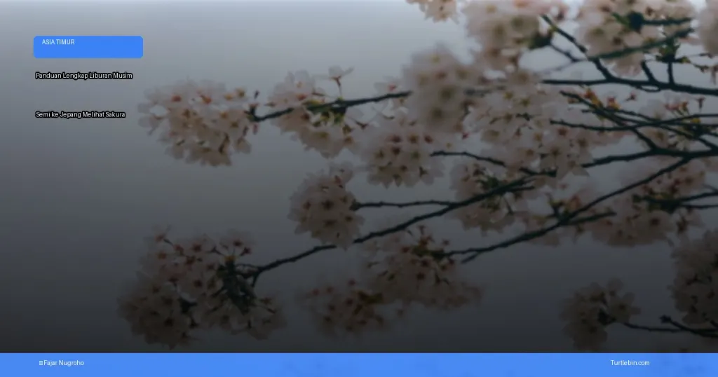 liburan musim semi ke Jepang melihat sakura | Turtlebin