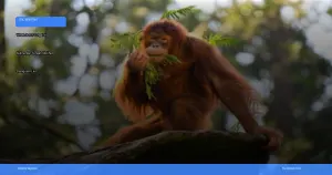 wisata susur sungai di Kalimantan Tengah melihat orangutan liar | Turtlebin