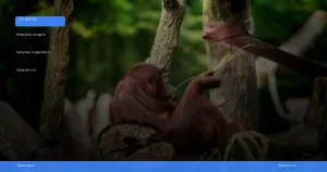 wisata susur sungai di kalimantan tengah melihat orangutan liar | Turtlebin