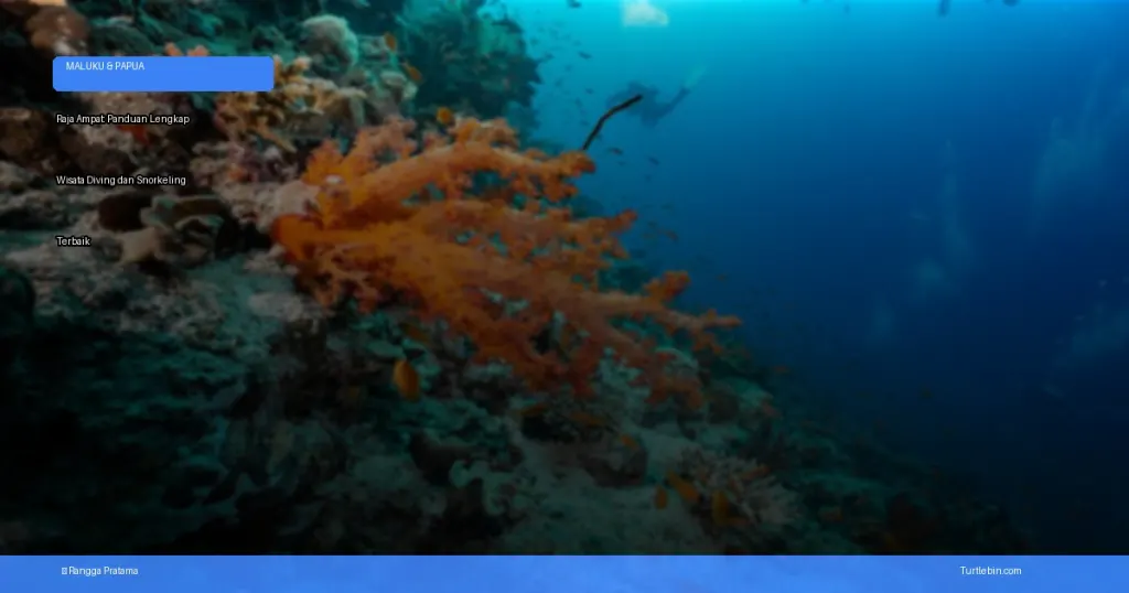 wisata diving dan snorkeling terbaik | Turtlebin