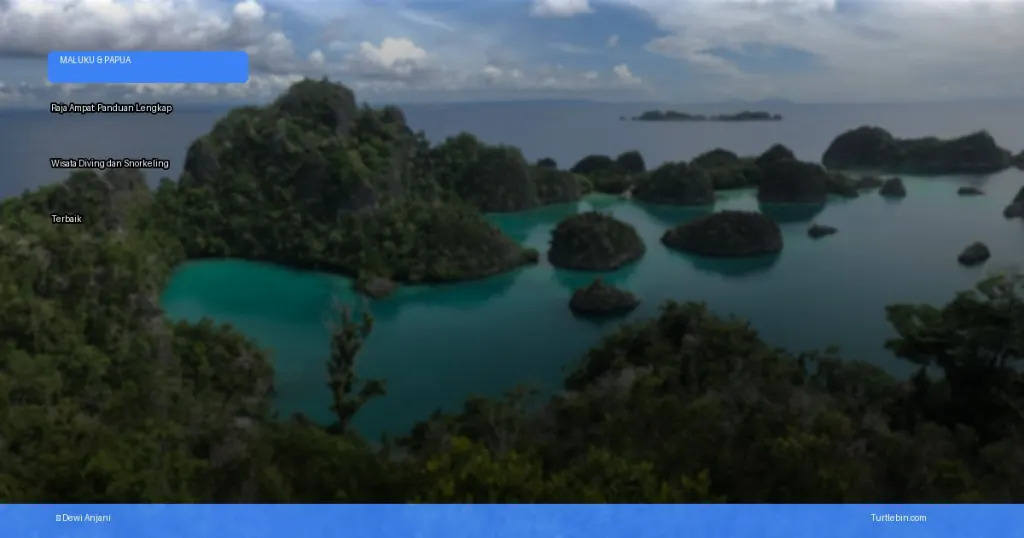 wisata diving dan snorkeling terbaik di Raja Ampat | Turtlebin