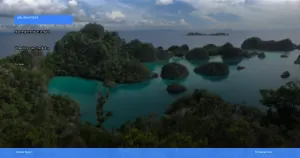 wisata diving dan snorkeling terbaik di Raja Ampat | Turtlebin