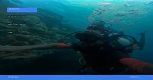 Raja Ampat: panduan lengkap wisata diving dan snorkeling terbaik | Turtlebin