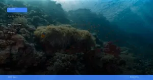 wisata alam Wakatobi: surga bawah laut yang wajib dikunjungi | Turtlebin