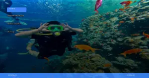 wisata alam Wakatobi | Turtlebin