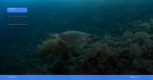 tempat diving terbaik di Sulawesi Utara untuk pemula | Turtlebin