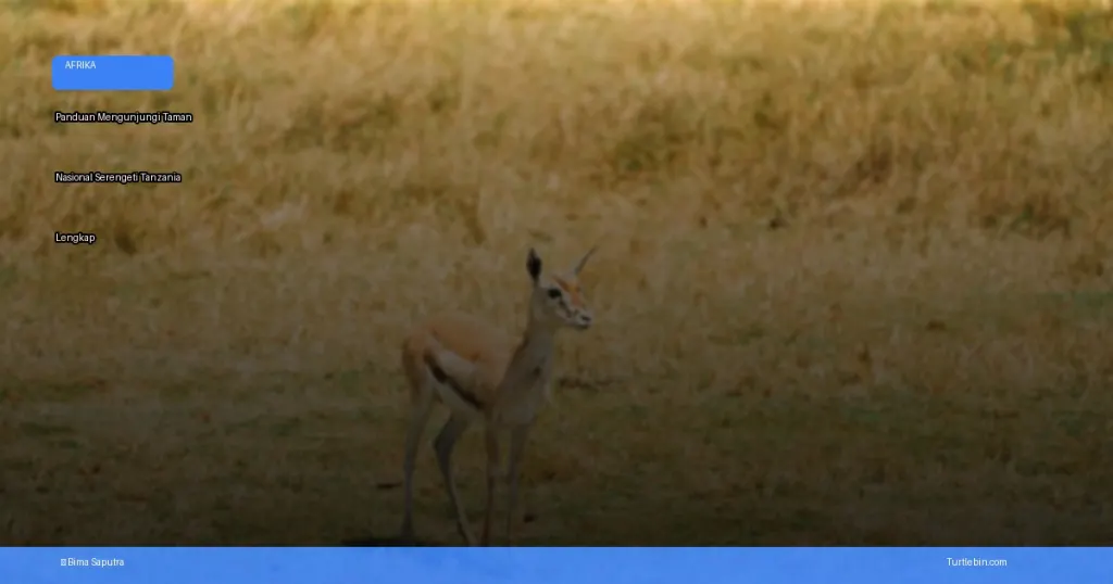 Taman Nasional Serengeti | Turtlebin