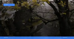 liburan musim semi ke jepang melihat sakura | Turtlebin