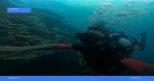 menjelajahi derawan: surga snorkeling dan diving di kalimantan | Turtlebin