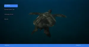 Menjelajahi Derawan: surga snorkeling dan diving di Kalimantan | Turtlebin